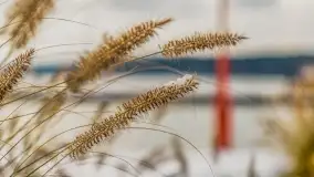 Pierwszy śnieg już za nami... Bocianie Gniazdo w Rynie - zdjęcie 6