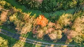 Kolory wrześniowych Mazur - zdjęcie 54