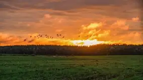 Kolory wrześniowych Mazur - zdjęcie 37