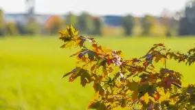 Kolory wrześniowych Mazur - zdjęcie 59