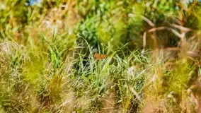 Kolory wrześniowych Mazur - zdjęcie 86