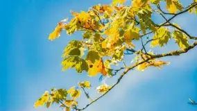 Kolory wrześniowych Mazur - zdjęcie 52