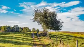 Kolory wrześniowych Mazur - zdjęcie 85