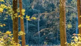 Kolory wrześniowych Mazur - zdjęcie 58