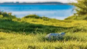 Kolory wrześniowych Mazur - zdjęcie 88