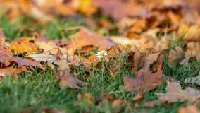 Jesienny Kętrzyn, październik 2022 - zdjęcie 51