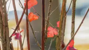 Jesienny Kętrzyn, październik 2022 - zdjęcie 35