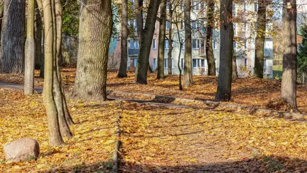 Jesienny Kętrzyn, październik 2022 - zdjęcie 8