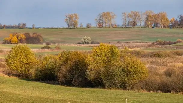 Jesienny Kętrzyn, październik 2022 - zdjęcie 9