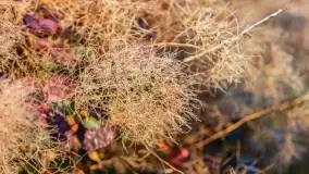 Jesienny Kętrzyn, październik 2022 - zdjęcie 45