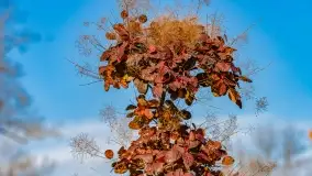 Jesienny Kętrzyn, październik 2022 - zdjęcie 31