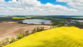 Rzepakowe pola, przypominamy żółty kolor Mazur - zdjęcie 15