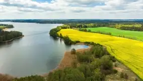 Rzepakowe pola, przypominamy żółty kolor Mazur - zdjęcie 11