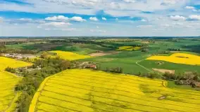 Rzepakowe pola, przypominamy żółty kolor Mazur - zdjęcie 18