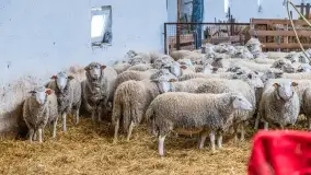 Fotorelacja - I Redyk Mazurski, Sołdany 2022 - zdjęcie 2