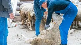 Fotorelacja - I Redyk Mazurski, Sołdany 2022 - zdjęcie 29