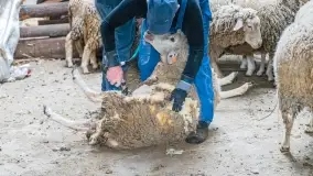 Fotorelacja - I Redyk Mazurski, Sołdany 2022 - zdjęcie 17