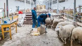 Fotorelacja - I Redyk Mazurski, Sołdany 2022 - zdjęcie 9