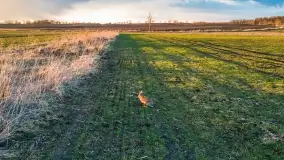 Końcówka zimy 2021, zdjęcia z drona - zdjęcie 5