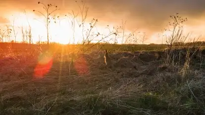 Końcówka zimy 2021, zdjęcia z drona