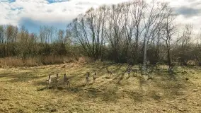 Końcówka zimy 2021, zdjęcia z drona - zdjęcie 26