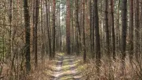 Przedwiośnie na mazurskich polach i łąkach, marzec 2021 - zdjęcie 45