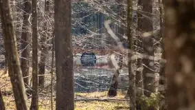 Początki wiosny 2022, leśne krajobrazy - zdjęcie 67