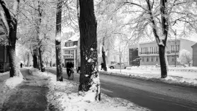 Cień historii, czasy PRL (1945-1989) - Giżycko - zdjęcie 222