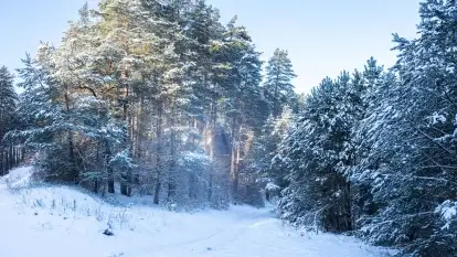 Zimowe okolice Szczytna na zdjęciach Marty Sotnik