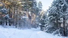 Zimowe okolice Szczytna na zdjęciach Marty Sotnik - zdjęcie 7
