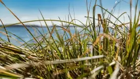 Cmentarz wojenny Jagerhohe i jezioro Święcajty na początku wiosny, 2022 - zdjęcie 52