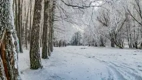 Bajkowe i zimowe klimaty nad jeziorem Dargin, grudzień 2022 - zdjęcie 55
