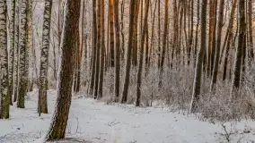 Bajkowe i zimowe klimaty nad jeziorem Dargin, grudzień 2022 - zdjęcie 18