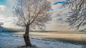 Bajkowe i zimowe klimaty nad jeziorem Dargin, grudzień 2022 - zdjęcie 30