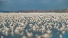 Bajkowe i zimowe klimaty nad jeziorem Dargin, grudzień 2022 - zdjęcie 22