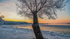 Bajkowe i zimowe klimaty nad jeziorem Dargin, grudzień 2022 - zdjęcie 50