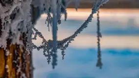 Bajkowe i zimowe klimaty nad jeziorem Dargin, grudzień 2022 - zdjęcie 63