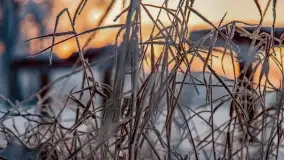 Bajkowe klimaty z zameldowaniem na łonie natury - zdjęcie 27