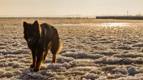 Zima nad Darginem w Zdorkowie w Harszu - zdjęcie 25