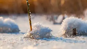 Zima nad Darginem w Zdorkowie w Harszu - zdjęcie 24