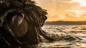 Zima już bez śniegu w Trygorcie, końcówka 2022 roku - zdjęcie 22