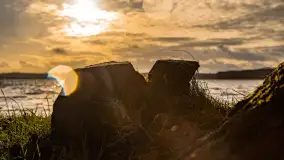 Zima już bez śniegu w Trygorcie, końcówka 2022 roku - zdjęcie 28