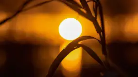 Grudniowy zachód słońca nad jeziorem Łabap - zdjęcie 26