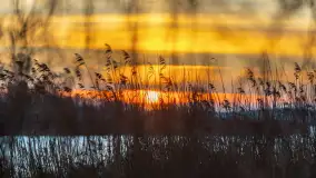 Wschód słońca nad jeziorem Śniardwy, Krzywy Róg - zdjęcie 15