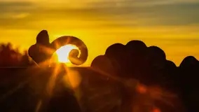 Wschód słońca nad jeziorem Śniardwy, Krzywy Róg - zdjęcie 20