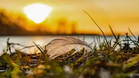 Wschód słońca nad jeziorem Śniardwy, Krzywy Róg - zdjęcie 3