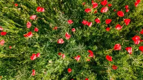 Wiosenny mix ujęć, kwiecień - czerwiec 2022 r. - zdjęcie 29