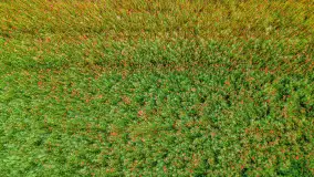 Wiosenny mix ujęć, kwiecień - czerwiec 2022 r. - zdjęcie 66