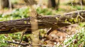 Wiosenny mix ujęć, kwiecień - czerwiec 2022 r. - zdjęcie 12