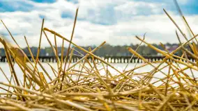 Wiosenny mix ujęć, kwiecień - czerwiec 2022 r. - zdjęcie 47